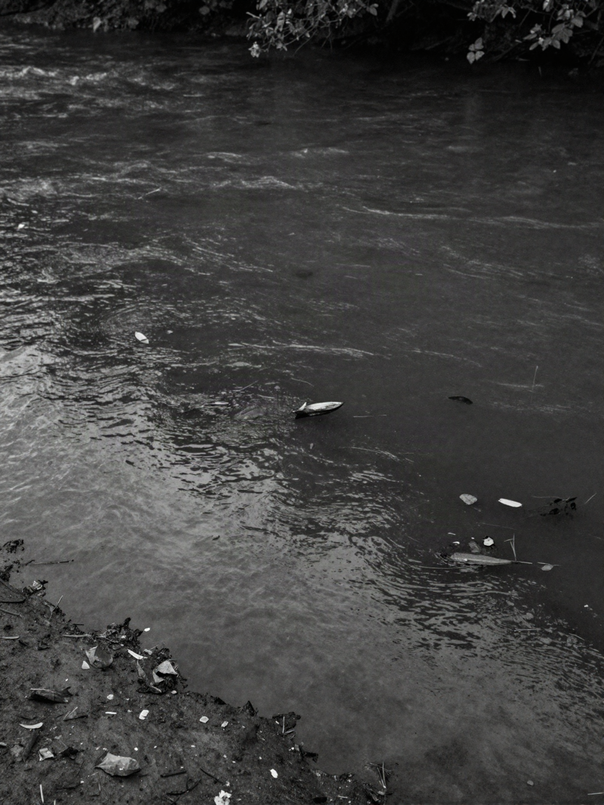Dark river water filling the frame with faint ripples and drifting leaf litter, a strip of muddy bank in the foreground.